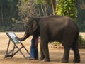 Elephant artist