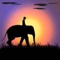 elephant Asia walking, graphics disign vector Illustration