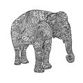 Elephant in asian style. Mandala pattern for adult coloring book. Vector black and white illustration. Royalty Free Stock Photo