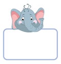 Elephant. Baby animal banner