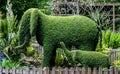 Elephant with baby in the hedge.