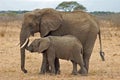 Elephant with Baby