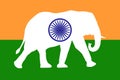 Elephant on the background of the flag of the Republic of India, tricolor with the symbol of the wheel of ashoka chakra in the