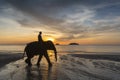 Elephant on a background of sunset and sea on Koh Chang, Thailand.