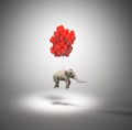 Elephant with balloons