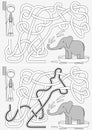 Elephant bath maze Royalty Free Stock Photo