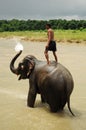 Elephant bath, NP Chitwan, Nepal