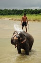 Elephant bath, NP Chitwan, Nepal Royalty Free Stock Photo