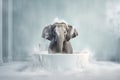 An elephant bathes in a bubble bath, the concept of animal behavior and non-standard situations, cleanliness, and hygiene