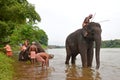 Elephant bathing in River Royalty Free Stock Photo