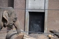Elephant Behind Bars At Amsterdam The Netherlands 28-3-2022 Royalty Free Stock Photo