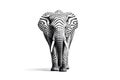 Elephant with Black and White Zebra Stripes Royalty Free Stock Photo