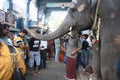 Elephant Blessing Devotees in Ganesha Temple Royalty Free Stock Photo