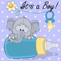 Elephant boy Royalty Free Stock Photo