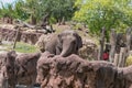 Elephant in Busch Gardens Tampa Bay. Florida. Royalty Free Stock Photo