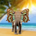 Elephant with butterfly wings