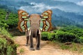 Elephant with butterfly wings