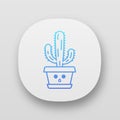 Elephant cactus app icon