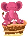 Elephant with cake chocolate
