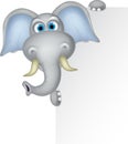 Elephant cartoon with blank sign Royalty Free Stock Photo