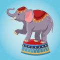 Elephant cartoon of circus