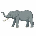 elephant cartoon isolated on white Royalty Free Stock Photo