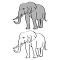 Elephant cartoon isolated on white. African bush or forest elephant and Asian elephant Royalty Free Stock Photo