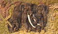 Elephant carved Royalty Free Stock Photo