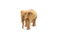 Elephant carved out of hardwood  on a white background Royalty Free Stock Photo