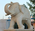 Elephant carved on white marble stones