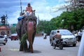 Elephant causing traffic jam on Indian roads