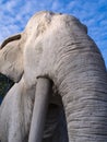 Elephant Cement Statue Quicklime Royalty Free Stock Photo