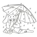 Elephant. Character. Crying under an umbrella, autumn, rain. Big collection of isolated elephants. Vector, cartoon.