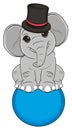 Elephant in circus