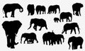 Elephant collection - vector silhouette. Set of editable vector silhouettes of African elephants in various poses . eps 10 Royalty Free Stock Photo