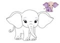 Elephant Coloring Page Colored. Vector illustration