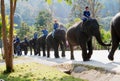 Elephant Conservation Center, Lampang, Thailand
