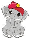 Elephant in cool cap