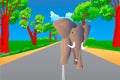 Elephant on country road.