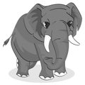 Charming Cartoon Elephant with Tusks: Fun Vector Illustration Royalty Free Stock Photo
