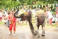 Elephant dance. Royalty Free Stock Photo