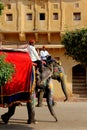 Elephant decorated with traditional painted patterns