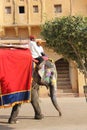 Elephant decorated with traditional painted patterns