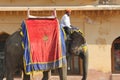 Elephant decorated with traditional painted patterns