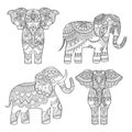 Elephant decorative pattern. Indian motif tribal royal design for adults colored pages vector illustrations Royalty Free Stock Photo