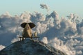 Elephant and dog sit on a mountain top