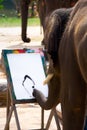 Elephant drawing painting by trunk