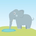 The elephant drinks water Royalty Free Stock Photo