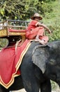 Elephant and driver in angkor wat cambodia