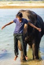 Elephant drivers in Nepal. Chitwan National Park Royalty Free Stock Photo